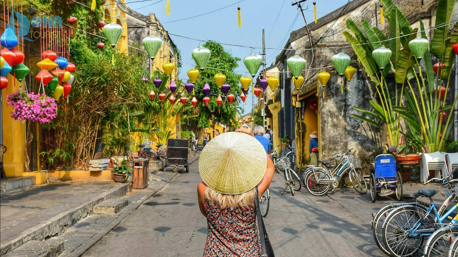 Wonders of Vietnam hero image