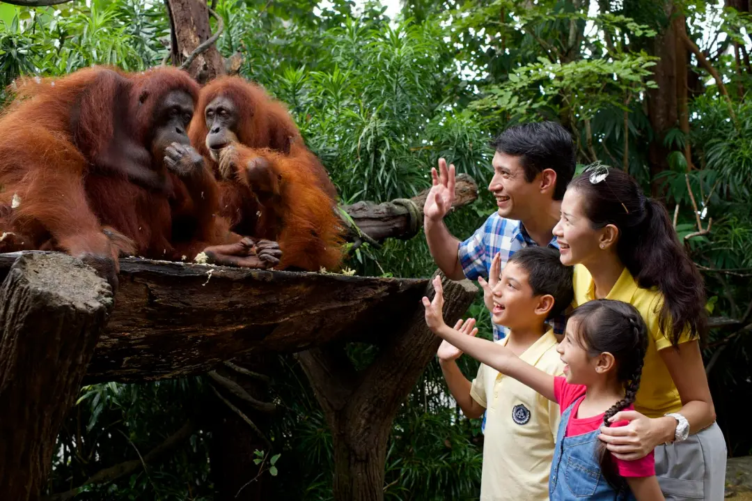 Enchanting Singapore & Kuala Lumpur hero image